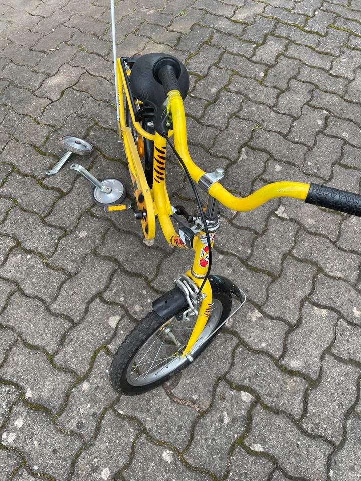 Puky 16 Zoll Kinderfahrrad in Mespelbrunn