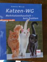 Katzen WG Buch neuwertig Hessen - Liebenau Vorschau