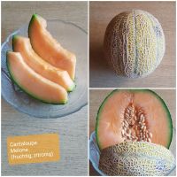 Cantaloupe Melone, Fruchtfleisch orange Samen 7 St Bayern - Woerth an der Donau Vorschau