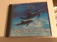 Angels of the Sea - Instrumentalmusik mit Delphingesängen Schleswig-Holstein - Tangstedt  Vorschau