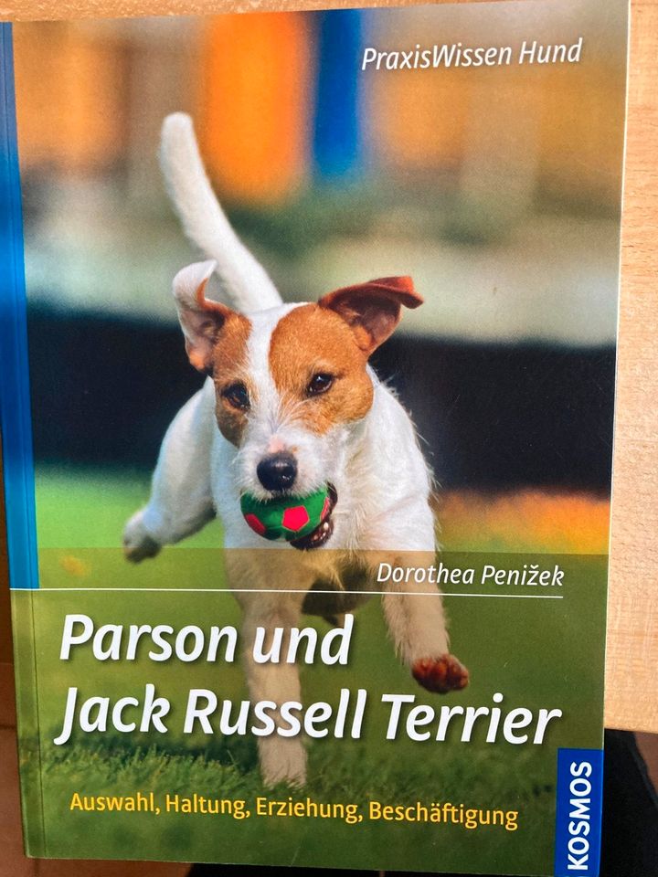 Parson und Jack Russel Terrier, Dorothea Penizek in Berge