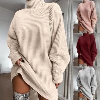 COTTON TURTLENECK RAGLAN SLEEVE SWEATER DRESS Saarbrücken-Mitte - Malstatt Vorschau