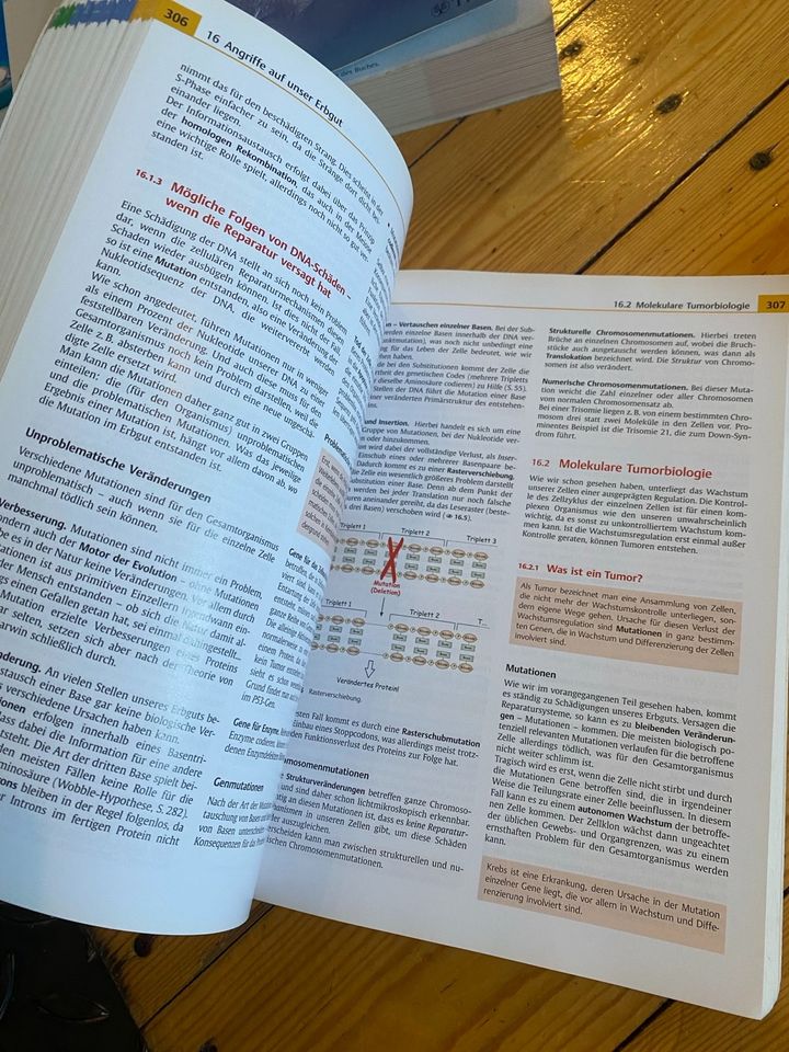 Biochemie des Menschen, Lehrbuch Medizin Florian Horn in Witten