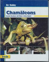 Chamäleons Ihr Hobby, bede Verlag ISBN 3933646340 Hessen - Bensheim Vorschau