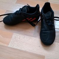 Fußballschuhe Adidas Schleswig-Holstein - Neumünster Vorschau