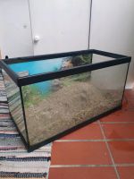 Aquarium 60 cm Saarbrücken-Dudweiler - Dudweiler Vorschau