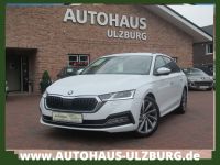 Skoda Octavia Combi 2.0 TDI DSG FE/Navi/LED/SHZ/Hagels Schleswig-Holstein - Henstedt-Ulzburg Vorschau