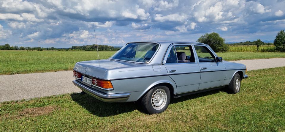 MB 280E W123 in Raubling