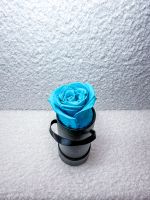 SCHÖNE AQUA MARINE BLAUE INFINITY ROSE Sachsen - Torgau Vorschau