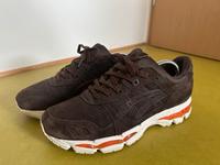 ASICS gel lyte 3.1 Kith Ronnie Fieg EU 46 US 11,5 Sachsen - Plauen Vorschau