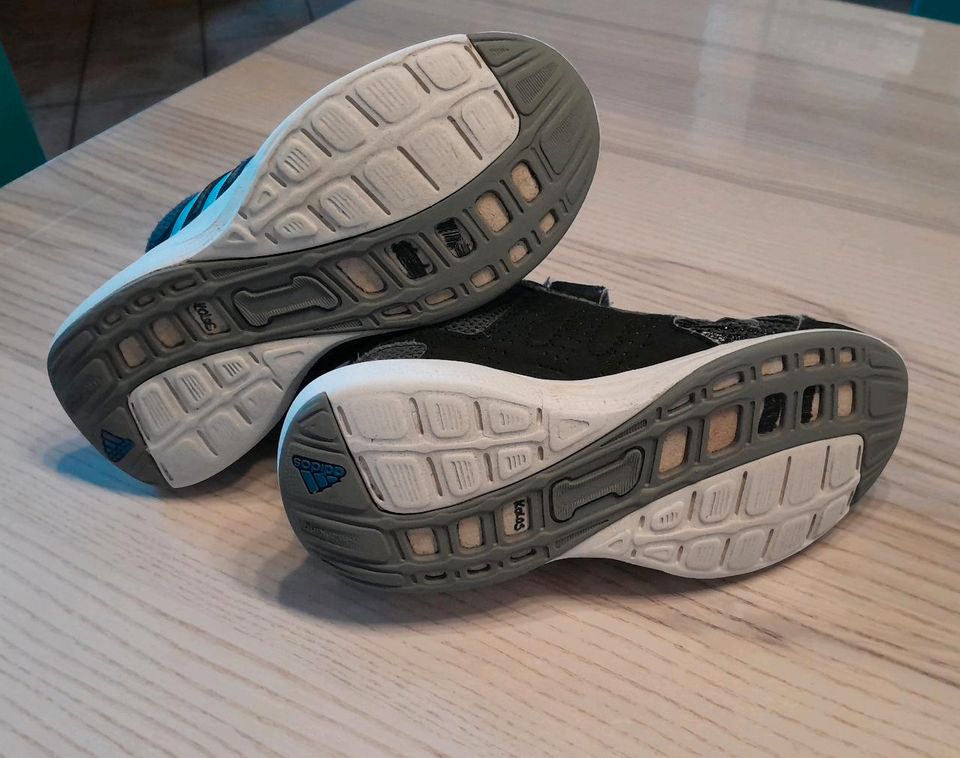 Adidas Schuhe 31 in Ballerstedt
