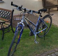 Damenfahrrad Nordrhein-Westfalen - Balve Vorschau