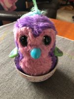 Hatchimals Penguala, sprechender Vogel Altona - Hamburg Lurup Vorschau