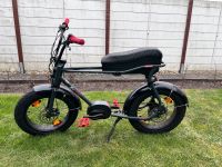 Ruff Cycles Lil Buddy e Bike !!! NEUWERTIG !!! nur 250Km gefahren Niedersachsen - Papenburg Vorschau