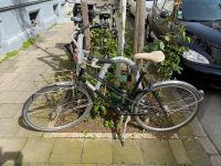 Damenfahrrad Creme Caferacer Düsseldorf - Pempelfort Vorschau