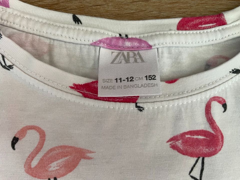 Zara Sommershirts Gr. 152, 2 Stück in Rostock