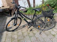 Damenfahrrad 28" Hessen - Rüsselsheim Vorschau