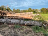 Baumstämme Brennholz ca. 60 m3 Holz Dortmund - Nette Vorschau