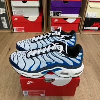 Nike Air Max Plus EU39 TN | Photo Blue - Thunder White Grey Neu Dortmund - Hörde Vorschau