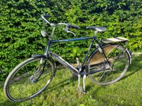 Fahrrad Herrenfahrrad Gazelle Primeur Nordrhein-Westfalen - Ostbevern Vorschau