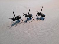 Ameisen Zahnstocher, ant food picks Bayern - Olching Vorschau