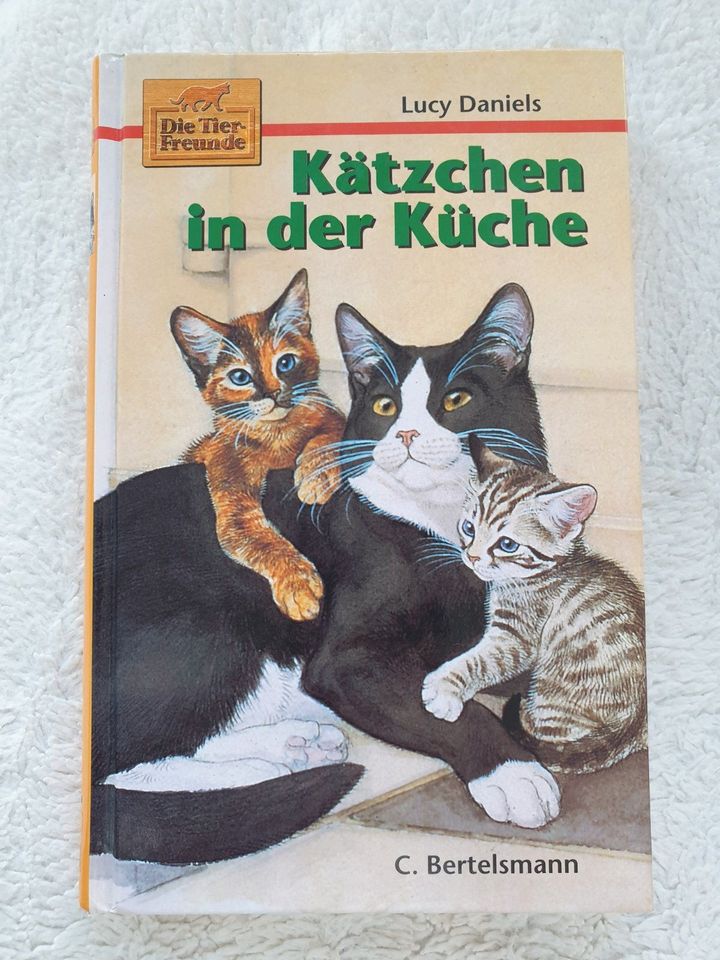 Kätzchen in der Küche - Kinderbuch / Jugendbuch - Katzen in Bremen