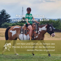 Jungpferdestart, Pferdeausbildung, Beritt Sachsen - Quitzdorf am See Vorschau