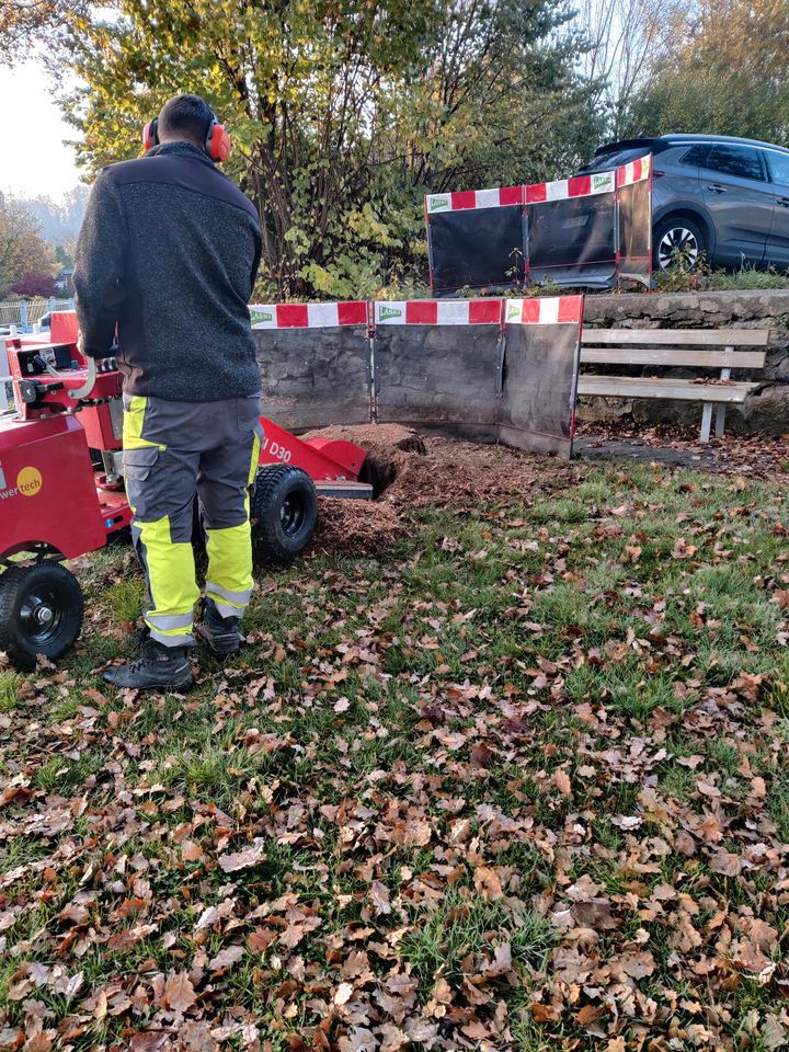 Baumstumpffräsen - Wurzelstock entfernen - Baumstumpf entfernen in Neukirchen b Hl Blut