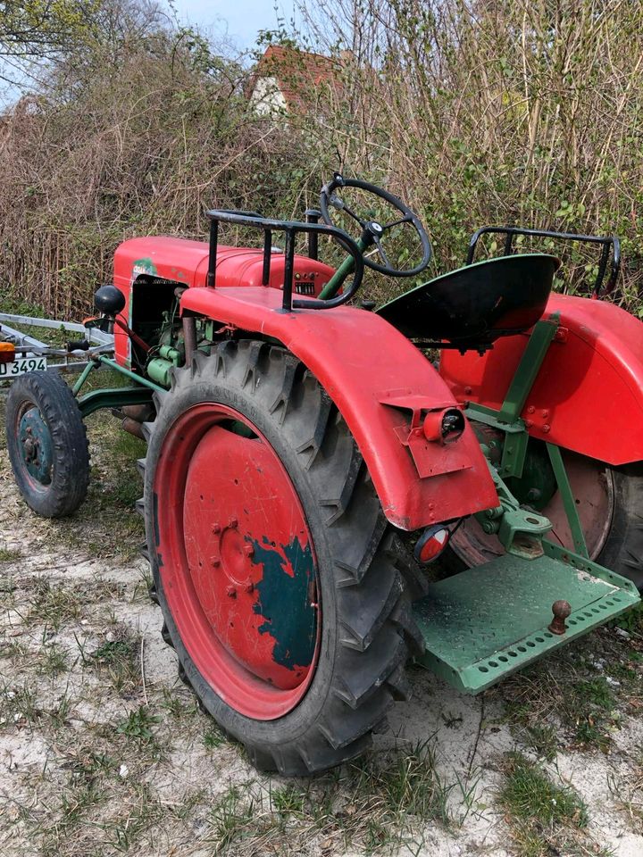 Traktor Fahr D 130 u. D 130 H in Schönefeld