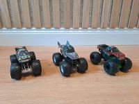 Hot Wheels / Monstertruck / Monster Jam Nordrhein-Westfalen - Paderborn Vorschau