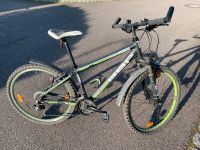 BBF Fahrrad 26 Zoll Baden-Württemberg - Vaihingen an der Enz Vorschau