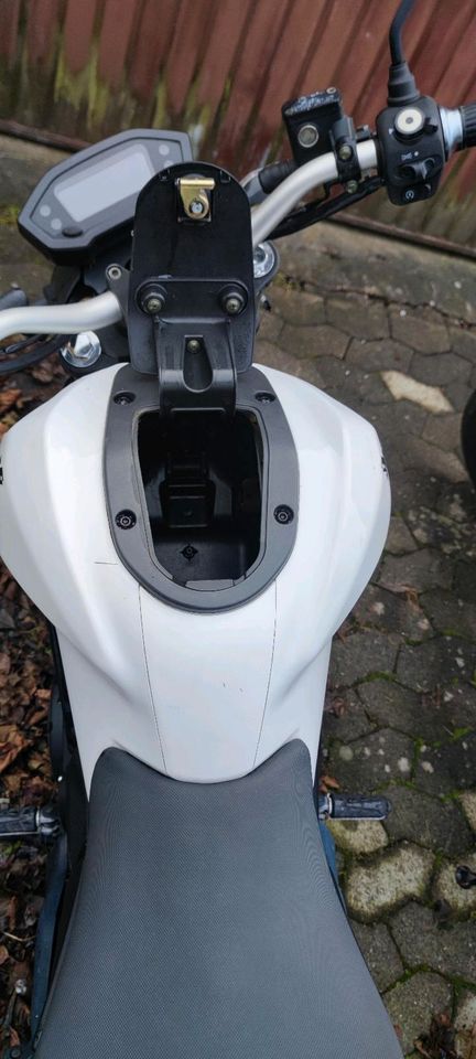 Elektro-Roller/Moped 50ccm Romet E-Pony 45km/h in Eichenzell