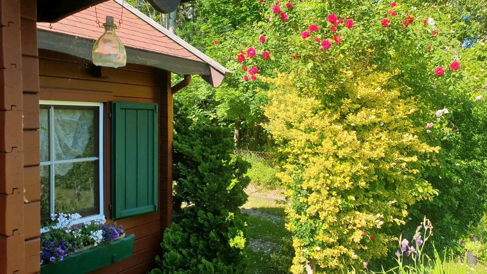 Wochenendgrundstück direkt am See - Wochenendhaus - Schorfheide in Schorfheide