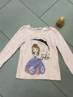 H&M Longsleeves, 110/116, Langarmshirt, Oberteil, Disney Sophia Thüringen - Tonna Vorschau