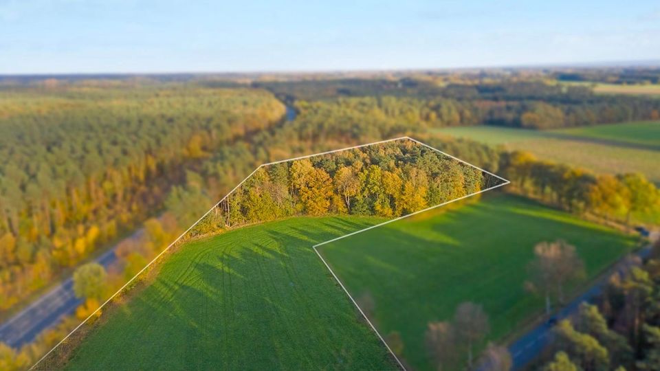 Grünland und Forstflächen in Friedewalde, L770 in Petershagen