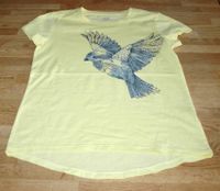 T-Shirt "blaues Vögelchen" gelb Gr.146/152 NEU Nordrhein-Westfalen - Senden Vorschau