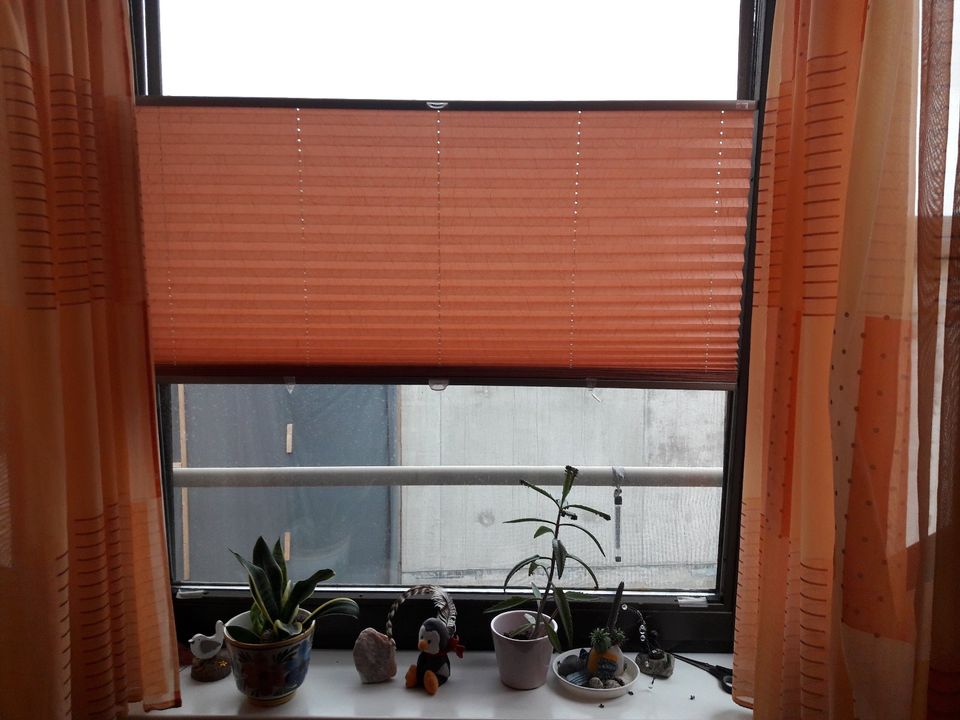 Gardine schwer entflammbar  auch für Fenster im Heim verwendbar in Oftersheim