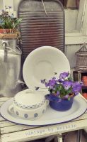 Alt Emaille Topf Suppenterrine Villeroy&Boch Landhausstil vintage Kreis Pinneberg - Elmshorn Vorschau