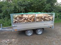Endet bald! Brennholz Fichte trocken inkl. schnelle Lieferung BG Nordrhein-Westfalen - Bergisch Gladbach Vorschau