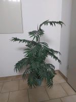 Palme Textilpflanze ca. 120 cm Bayern - Langweid am Lech Vorschau