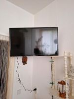 Fernseher 32 Zoll.   ACHTUNG NEUER PREIS Friedrichshain-Kreuzberg - Friedrichshain Vorschau