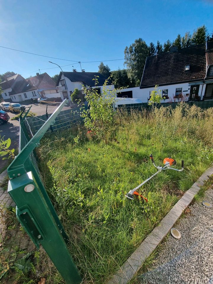 Gärtner. Biete Arbeiten rund ums Haus, Hof und Garten an in Saarbrücken