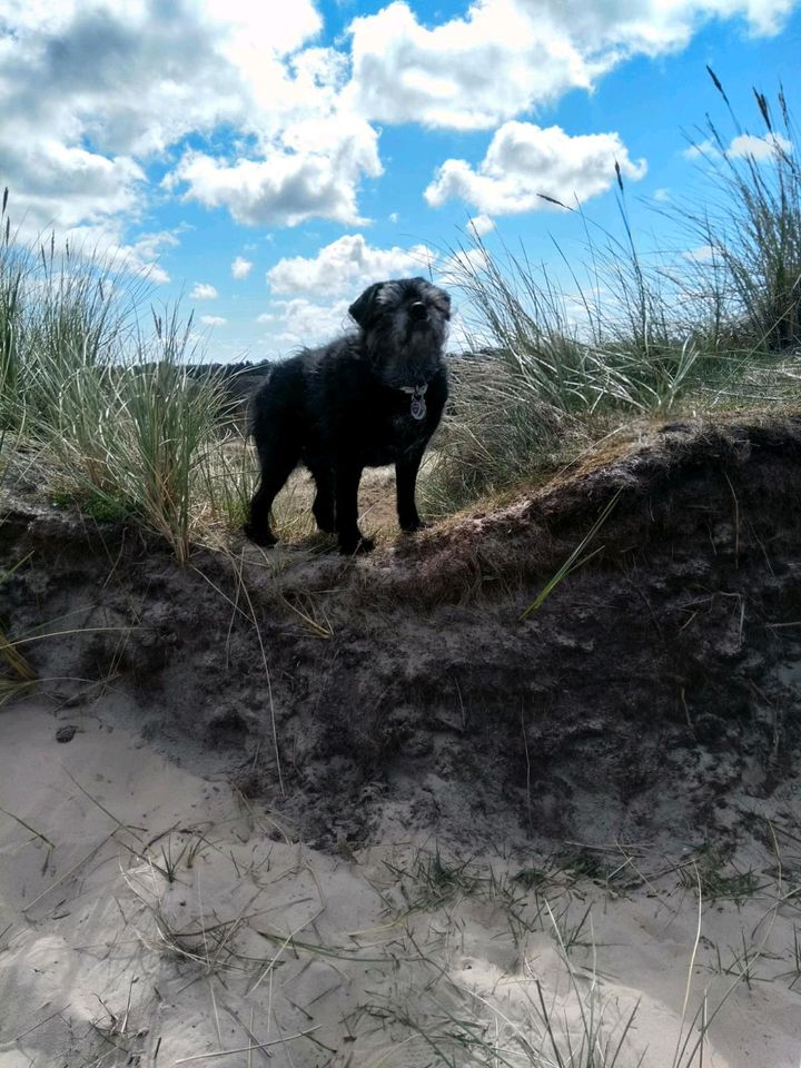 FERIENWOHNUNG OSTALLGÄU MIT Hund in Oerlinghausen