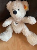 Steiff Teddy Lotte Teddybär Stofftier Kuscheltier Plüsch Saarland - St. Wendel Vorschau