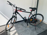 Fahrrad - Kelly‘s „Phanatic 30 Black“ Alu Cross / Trekking Bike Baden-Württemberg - Friedrichshafen Vorschau