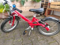 Kokua like to Bike 16 Zoll Kinderfahrrad Rheinland-Pfalz - Essenheim Vorschau