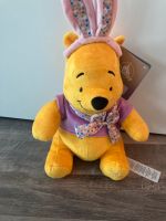 Disney Winnie Pooh Plüschtier Ostern Leipzig - Möckern Vorschau