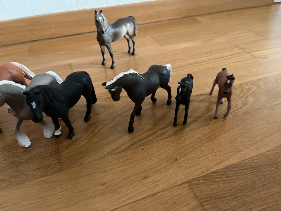 7 Schleichpferde plus 1 Collecta in Königstein im Taunus