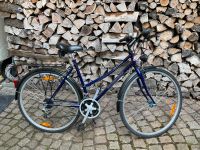 Fahrrad Damenrad Morishima guter Zustand blau lila Sachsen - Zwickau Vorschau