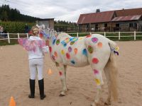 Kindergeburtstag am Ponyhof reiten Pony Geburtstag Bayern - Waidhaus Vorschau